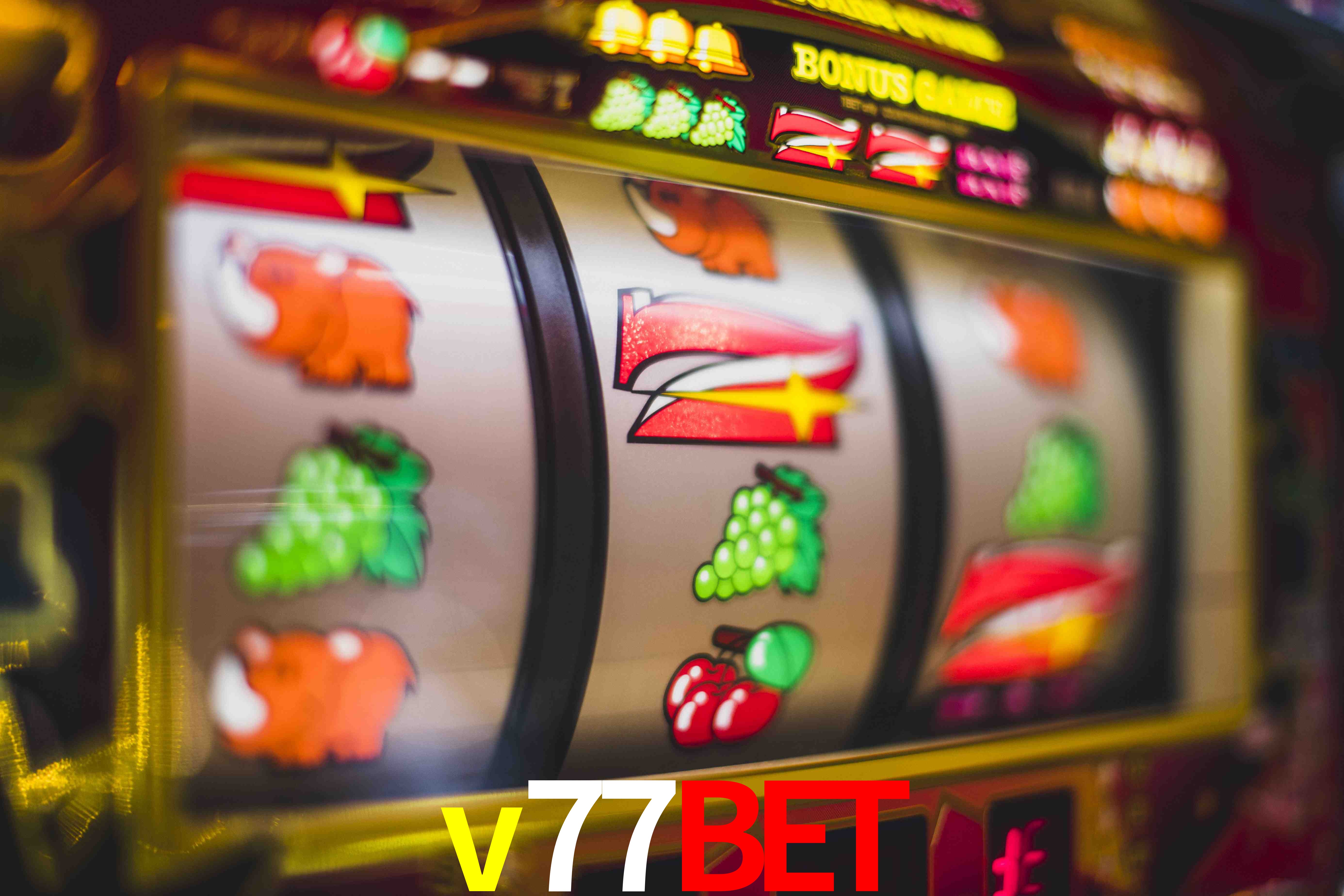 Tennis Betting v77bet